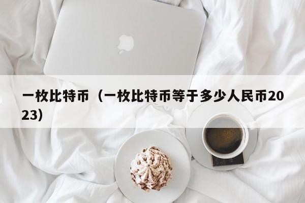 一枚比特币（一枚比特币等于多少人民币2023）