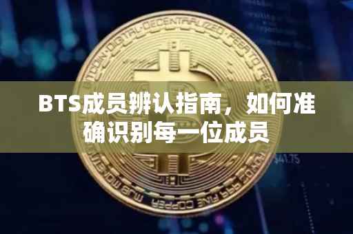 BTS成员辨认指南，如何准确识别每一位成员