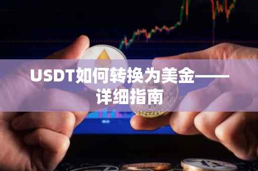 USDT如何转换为美金——详细指南