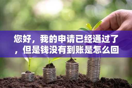 您好，我的申请已经通过了，但是钱没有到账是怎么回事？
