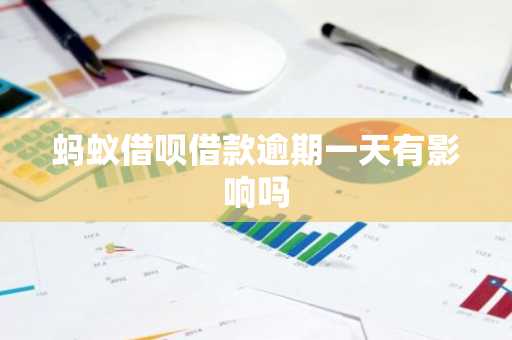 蚂蚁借呗借款逾期一天有影响吗