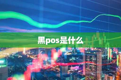 黑pos是什么