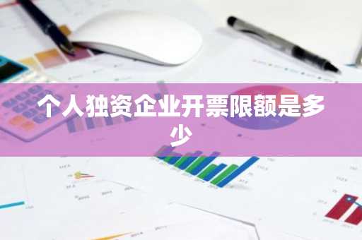 个人独资企业开票限额是多少