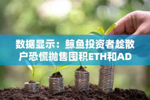 数据显示：鲸鱼投资者趁散户恐慌抛售囤积ETH和ADA