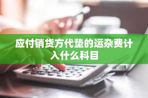 应付销货方代垫的运杂费计入什么科目