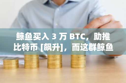 鲸鱼买入 3 万 BTC，助推比特币 [飙升]，而这群鲸鱼正在撤退