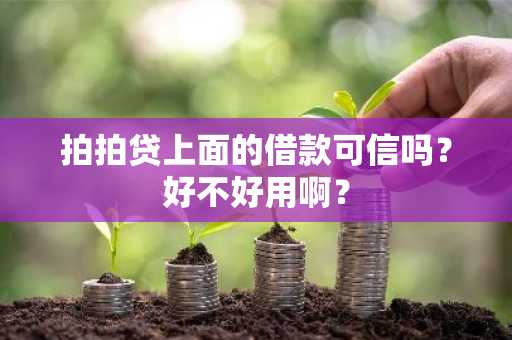 拍拍贷上面的借款可信吗？好不好用啊？