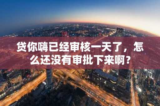 贷你嗨已经审核一天了，怎么还没有审批下来啊？