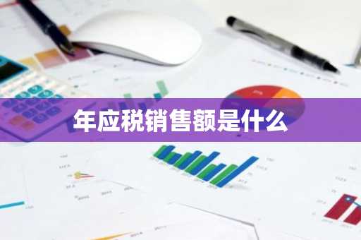 年应税销售额是什么