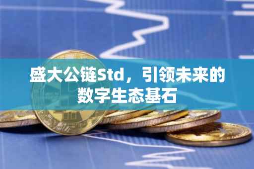 盛大公链Std，引领未来的数字生态基石