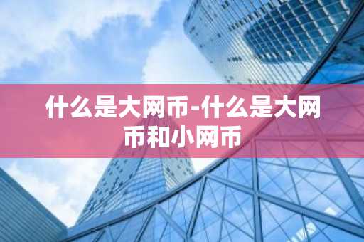 什么是大网币-什么是大网币和小网币