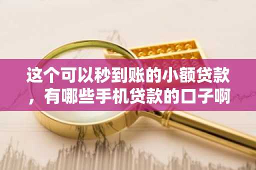 这个可以秒到账的小额贷款，有哪些手机贷款的口子啊？