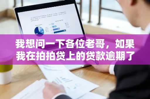我想问一下各位老哥，如果我在拍拍贷上的贷款逾期了，多久之后会遭到轰炸？