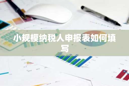 小规模纳税人申报表如何填写