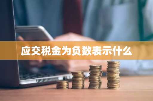 应交税金为负数表示什么