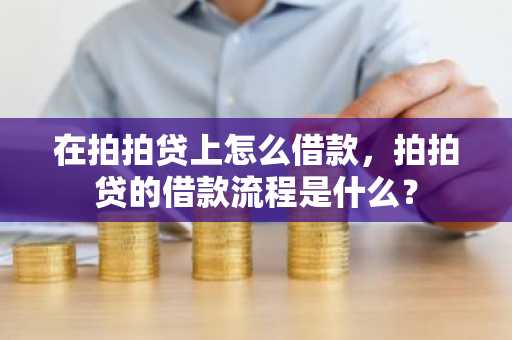 在拍拍贷上怎么借款，拍拍贷的借款流程是什么？