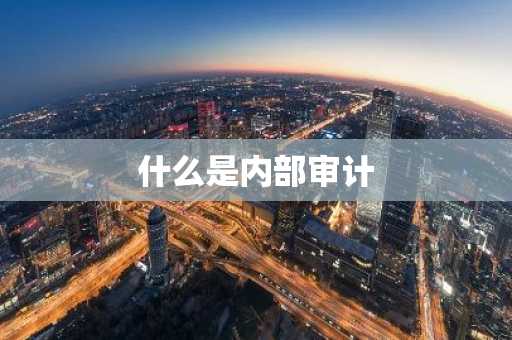 什么是内部审计