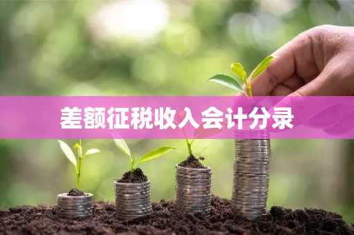 差额征税收入会计分录