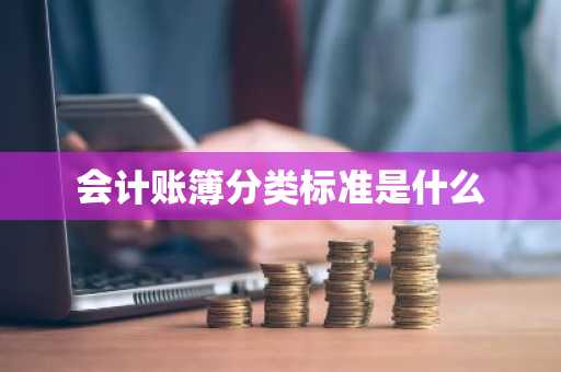 会计账簿分类标准是什么