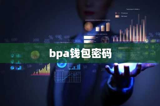 bpa钱包密码