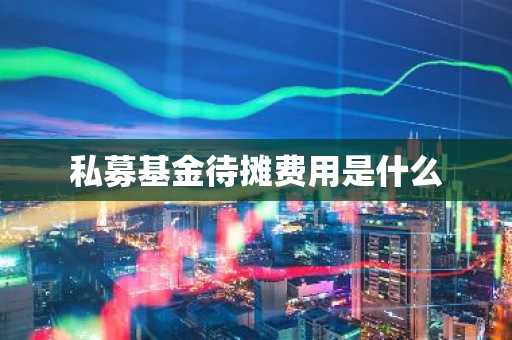 私募基金待摊费用是什么