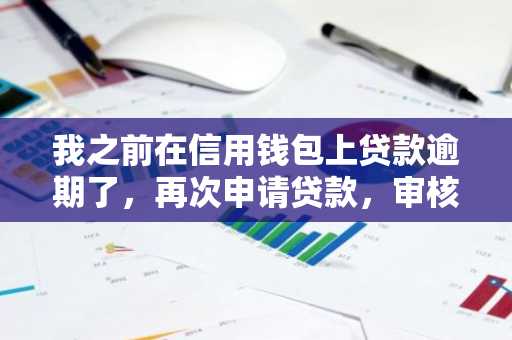 我之前在信用钱包上贷款逾期了，再次申请贷款，审核时被拒了，之后还能申请贷款吗？