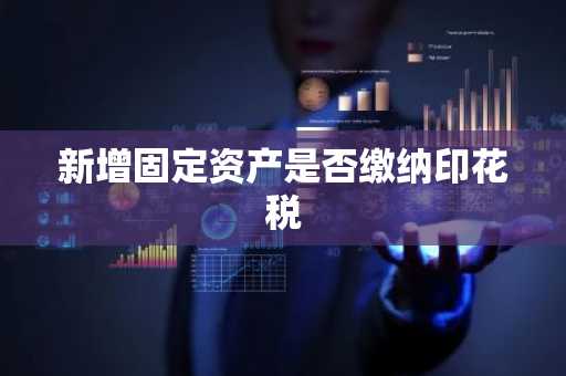 新增固定资产是否缴纳印花税