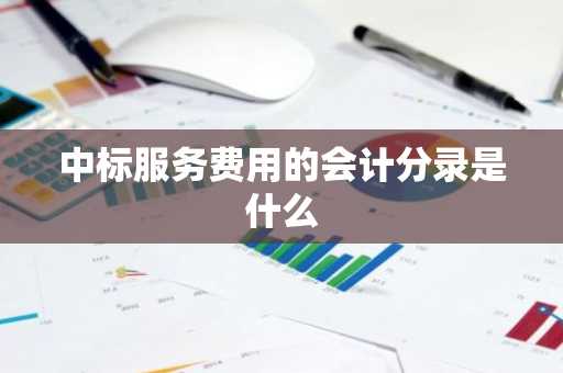 中标服务费用的会计分录是什么