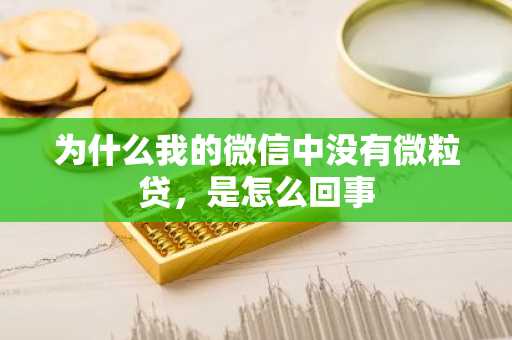 为什么我的微信中没有微粒贷，是怎么回事
