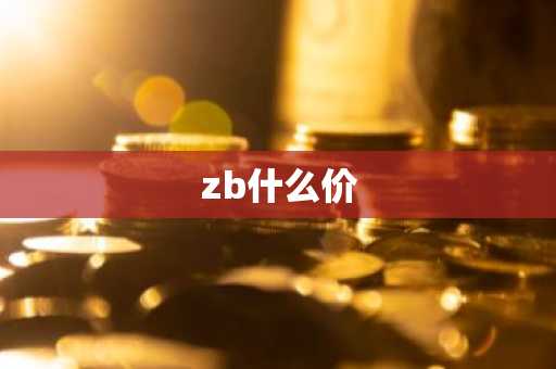 zb什么价