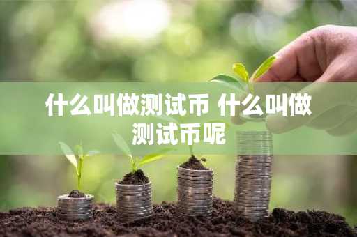 什么叫做测试币 什么叫做测试币呢