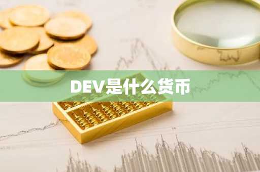 DEV是什么货币