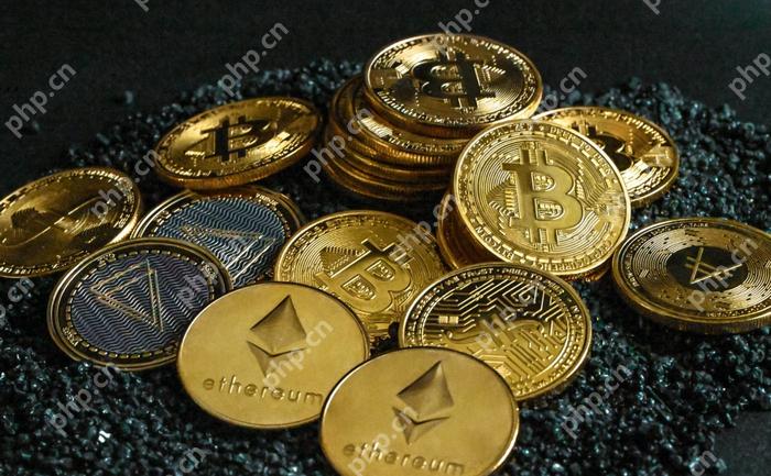 十大正规的虚拟币交易app平台排行2025最新