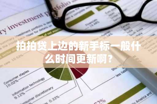 拍拍贷上边的新手标一般什么时间更新啊？