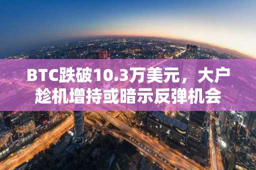 BTC跌破10.3万美元，大户趁机增持或暗示反弹机会