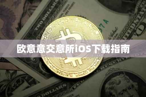 欧意意交意所iOS下载指南