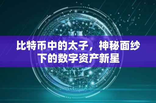 比特币中的太子，神秘面纱下的数字资产新星