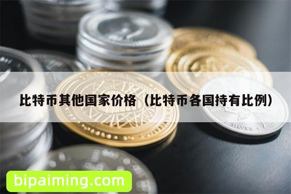 比特币其他国家价格（比特币各国持有比例）