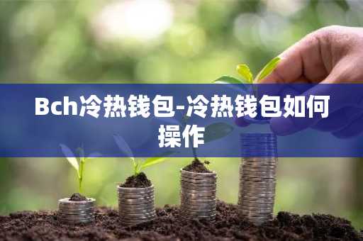 Bch冷热钱包-冷热钱包如何操作
