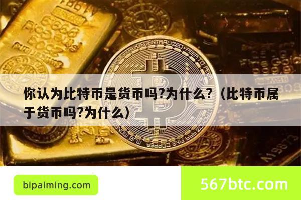 你认为比特币是货币吗?为什么?（比特币属于货币吗?为什么）