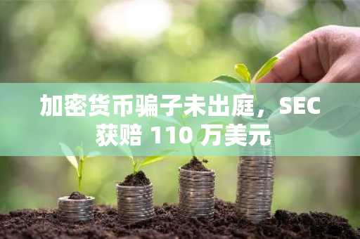加密货币骗子未出庭，SEC 获赔 110 万美元