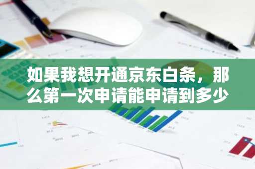 如果我想开通京东白条，那么第一次申请能申请到多少的贷款额度？