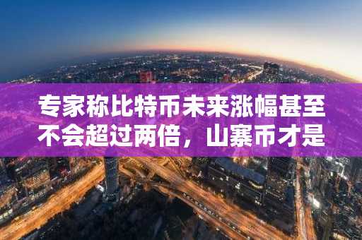 专家称比特币未来涨幅甚至不会超过两倍，山寨币才是真正的收益来源