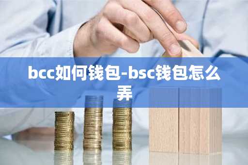 bcc如何钱包-bsc钱包怎么弄