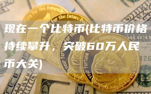 现在一个比特币 - 比特币价格持续攀升，突破60万人民币大关