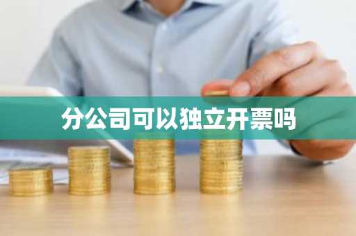 分公司可以独立开票吗