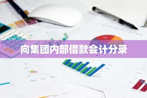 向集团内部借款会计分录