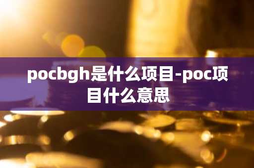 pocbgh是什么项目-poc项目什么意思