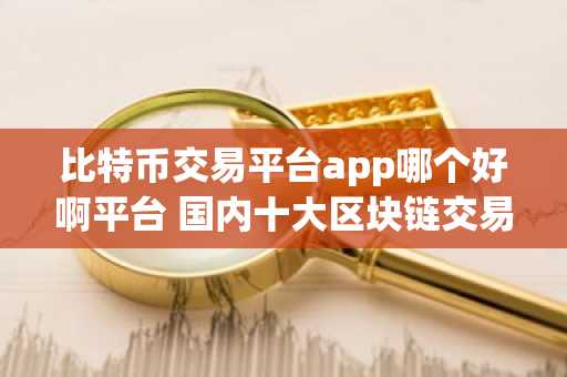 比特币交易平台app哪个好啊平台 国内十大区块链交易所排行