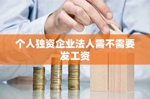 个人独资企业法人需不需要发工资